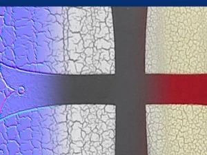 templar medieval shield 3D Model