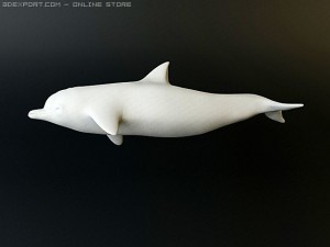 dolphin 1 3D Model