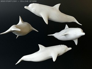 dolphin 1 3D Model