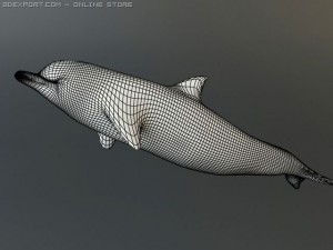 dolphin 1 3D Model