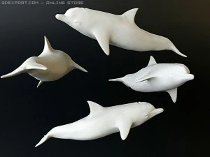 dolphin 2 3D Model