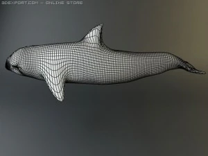 dauphin 3 Modèle 3D