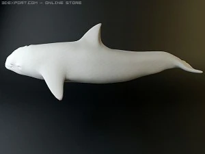 dolphin 4 3D Model