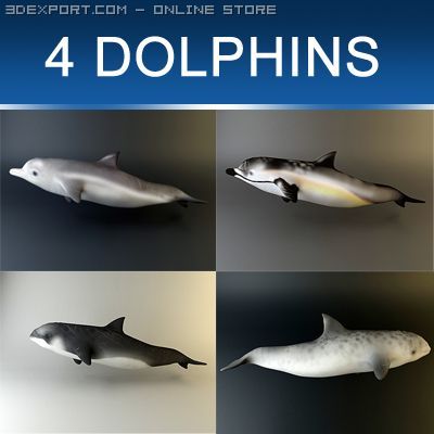 dolphin pack 3D 모델 .c4d .max .obj .3ds .fbx .stl .blend 