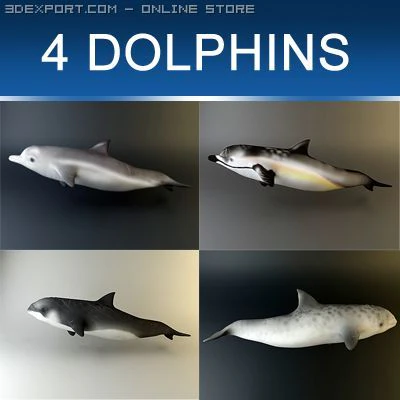 dolphin pack 3D Model .c4d .max .obj .3ds .fbx .stl .blend 