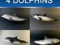 Dolphin pack 3D Model