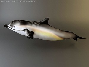 dolphin pack 3D 모델