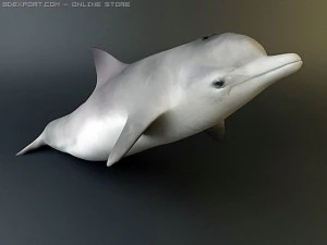 dolphin pack 3D Model