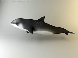 dolphin pack 3D 모델
