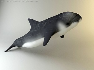 dolphin pack 3D 모델