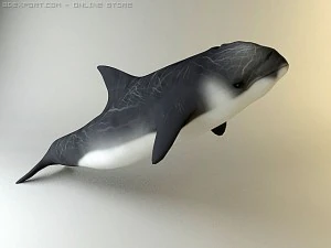 dolphin pack 3D Model