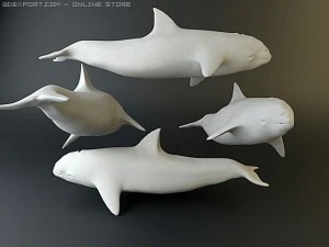 dolphin pack 3D Model