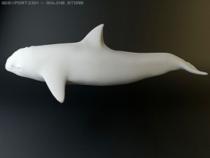 dolphin pack 3D 모델