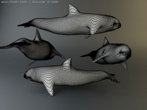 dolphin pack 3D 모델