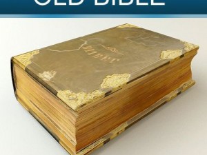 old bible 3D Model