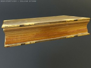 old bible 3Dモデル