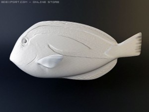 blue tang fish Model 3D