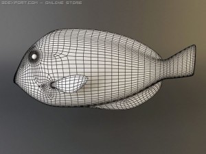 blue tang fish Model 3D