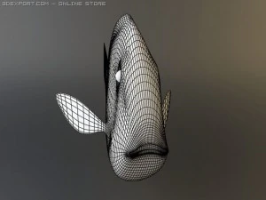 blue tang fish 3D Model