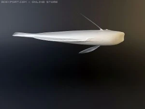 blue tang fish 3D Model