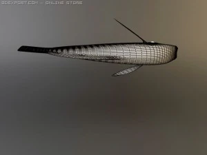 blue tang fish 3D Model