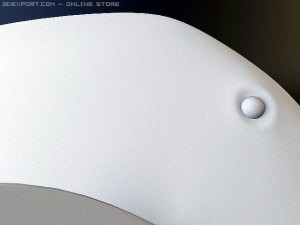 blue tang fish Model 3D