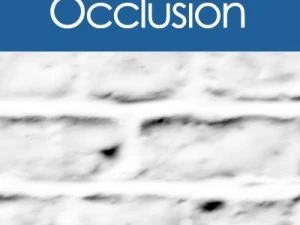 ladrillos viejos Texturas CG