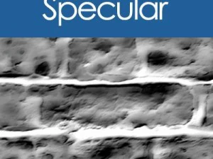 ladrillos viejos Texturas CG