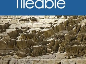 ladrillos viejos Texturas CG