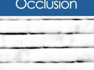 briks wall CG Textures