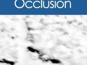 vieux mur de briques CG Textures