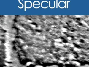 vieux mur de briques CG Textures