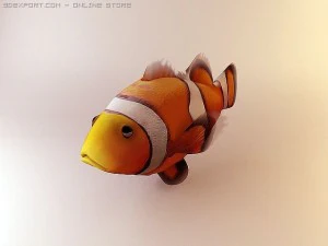 ryba klauna Model 3D