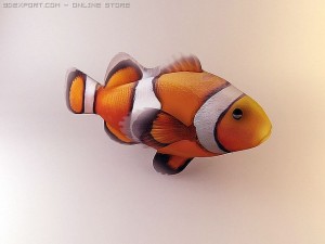 clown fish 3Dモデル