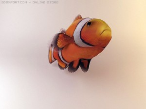 clown fish 3Dモデル