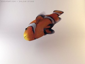clown fish 3Dモデル
