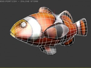 clown fish 3Dモデル