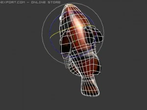 ryba klauna Model 3D