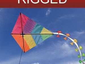 kite rigged 3D Model