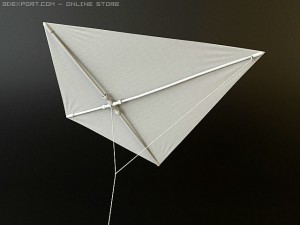 kite rigged 3D Model