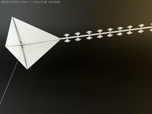 kite rigged 3D Model