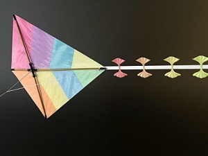 kite rigged 3D Model