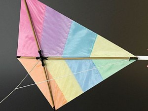 kite rigged 3D Model