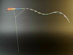 kite rigged 3D Model