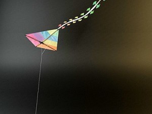 kite rigged 3D Model