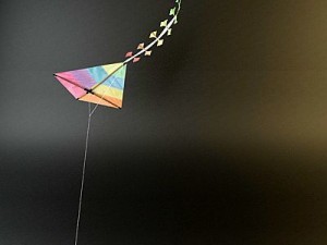 kite rigged 3D Model