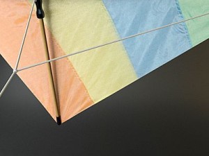 kite rigged 3D Model