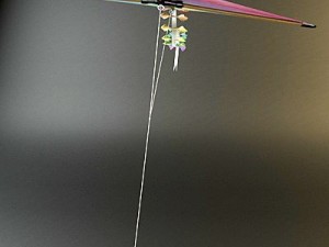 kite rigged 3D Model