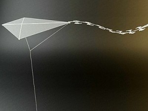 kite rigged 3D Model