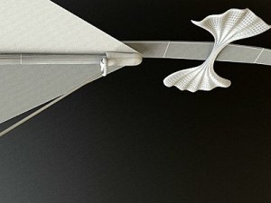 kite rigged 3D Model